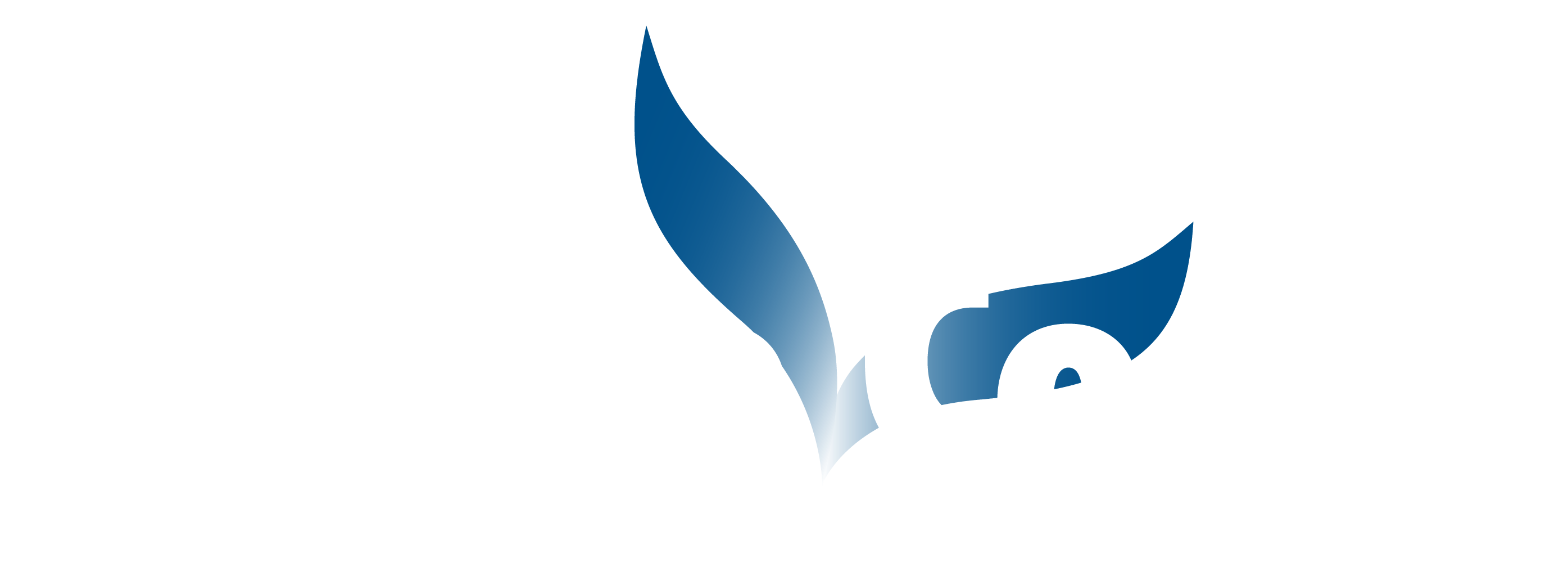 Logo Amica Card di Azienda Amica